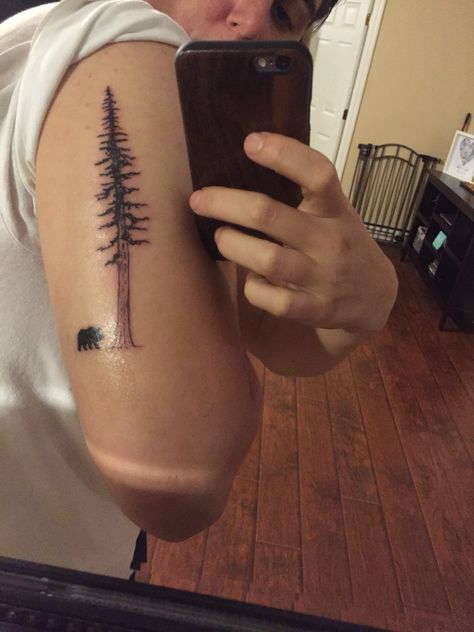 California Redwood and Cali Bear Redwood Tree Tattoo, Redwood Tattoo, Birthday Tattoo, L Tattoo, Bat Tattoo, Plant Tattoo, Redwood Tree, Bear Tattoo, Different Tattoos