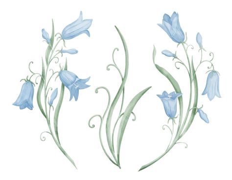 Blue Bell Drawing, Bellflower Drawing, Bluebell Drawing, Bluebell Illustration, Blue Bells Flowers, Blue Flowers Drawing, Bluebells Flower, Bluebell Flowers, Cute Pastel Colors