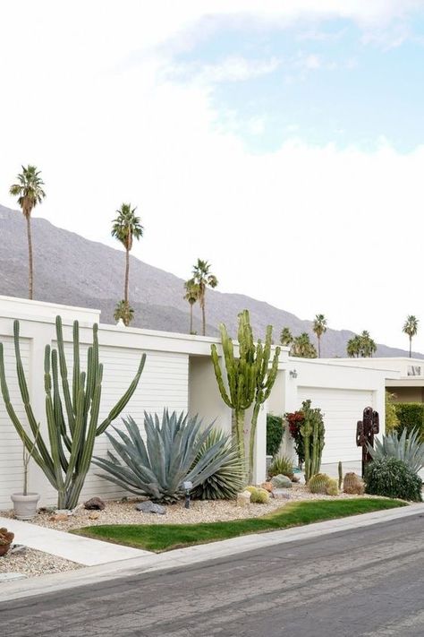 Palm Springs Landscaping, Nature Furniture, Palm Springs Garden, Palm Springs Houses, Palm Springs Architecture, Palm Springs House, Palm Springs Style, Dry Garden, Desert Homes