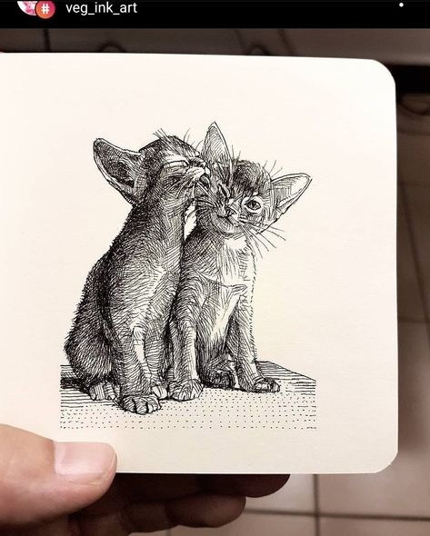 Micron Pen Art, Cat Pen, Ink Pen Art, Pen Art Work, Pen Art Drawings, Black And White Art Drawing, Illustration Pen And Ink, Cute Little Kittens, Tinta China