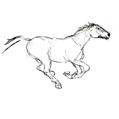 Running Animal Drawing, Running Horse Tattoo Design, Horse Running Sketch, Minimalist Horse Drawing, Horse Body Sketch, Horse Running Silhouette, Running Horses Drawing, Horse Tattoo Drawing, Running Horses Tattoo