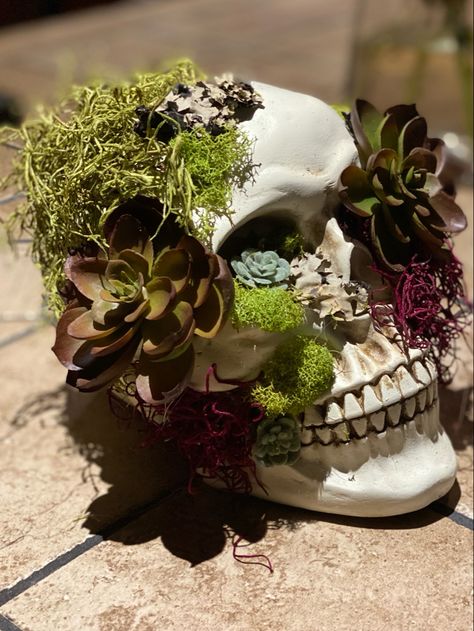 Moss Covered Skull, Skull With Plants Growing Out Of It, Skull With Succulents, Skull With Plants, Moss Skull, Living Bouquet, Graveyard Garden, Skull Terrarium, Skull Succulent