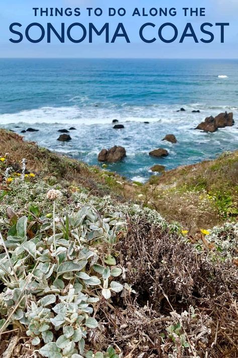 Roadtrip Ideas, Pacific Coast Road Trip, Northern California Coast, San Francisco Airport, California Roadtrip, Sonoma Coast, California Destinations, Road Trip Routes, Los Angeles Travel