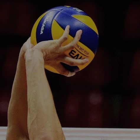 Volleyball Aesthetic, Volleyball Photography, Volleyball Wallpaper, Volleyball Poses, Ball Aesthetic, Volleyball Inspiration, Haikyuu Volleyball, Volleyball Pictures, Sports Aesthetic