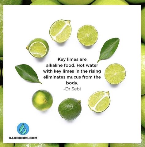 Lime Tea, Water For Health, Lime Water, Key Lime Juice, Dr Sebi, Vegan Nutrition, Plant Based Nutrition, Alkaline Foods, Vegan Life