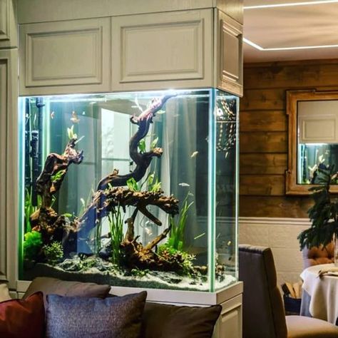 Luxury Aquarium, Kitchen Aquarium, Aquarium Coffee Table, Fish Tank Wall, Ideas De Piscina, Wall Aquarium, Diy Fish Tank, Fish Tank Design, Modern Room Divider