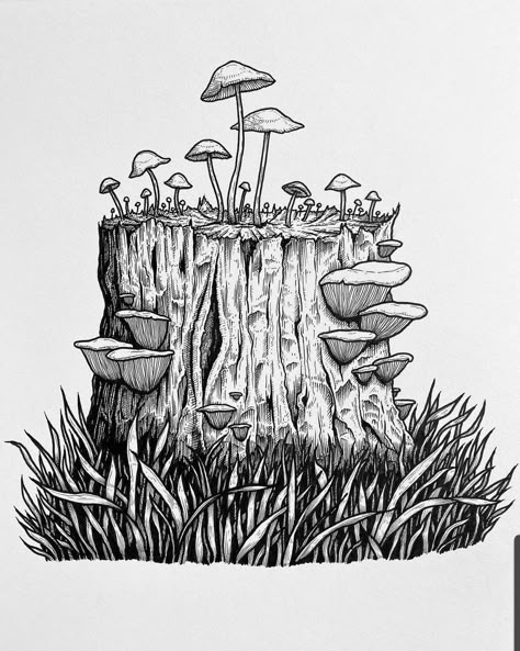 Fungi Illustration, Mushrooms Growing, Forest Drawing, Mushroom Drawing, Plant Drawing, Nature Drawing, Arte Inspo, Sketch Inspiration, Mushroom Art