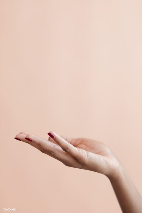 Female hand on a beige background | premium image by rawpixel.com / McKinsey Lashes And Brows, Hand Photography, Hand Photo, Hand Reference, Instagram Ideas Post, Poster Background Design, Instagram Frame, Fesyen Hijab, Anatomy Reference