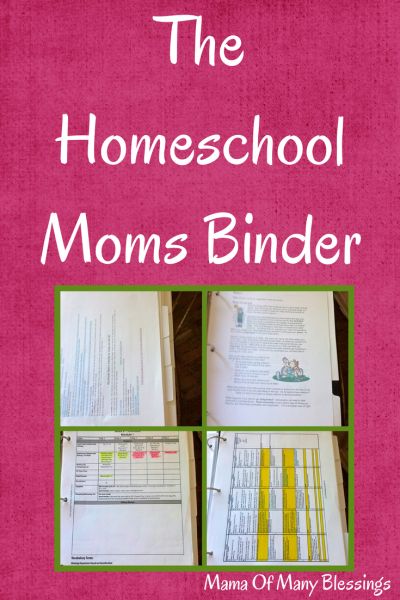 Homeschool-Planning-Homeschool-Moms-Binder Homeschool Record Keeping Binder, Homeschool Binder Organization, Homeschool Organization Ideas, Mom Binder, Homeschool Binder, Free Homeschool Resources, Homeschool Preschool Activities, Homeschool Teacher, Teacher Material