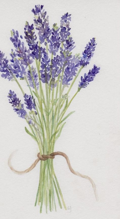 Lavender Watercolor, Lavender Bouquet, Watercolor Flower Art, Cat Air, Creativity Quotes, Simple Acrylic Paintings, Lavender Flowers, Easy Paintings, Watercolor Landscape