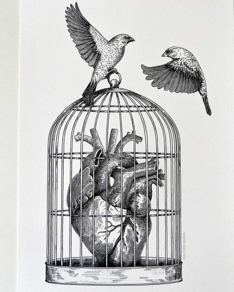 Cage Drawing, Alfred Basha, Birdcage Tattoo, Birds Drawing, Bird In A Cage, Cage Tattoos, Instagram Heart, Paper Black, Horror Show