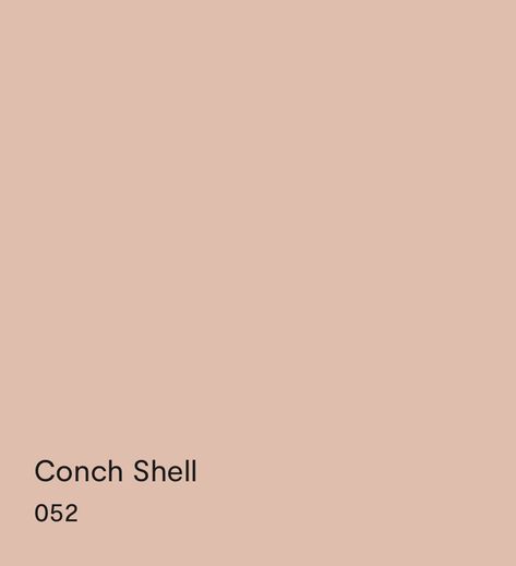 Conch Shell Paint Color, Pink Peach Paint Colors, Custis Salmon Benjamin Moore, Raleigh Peach Benjamin Moore, Conch Shell Benjamin Moore, Benjamin Moore Conch Shell, Peach Bedroom Walls, Peach Paint Colors, Texas Symbols