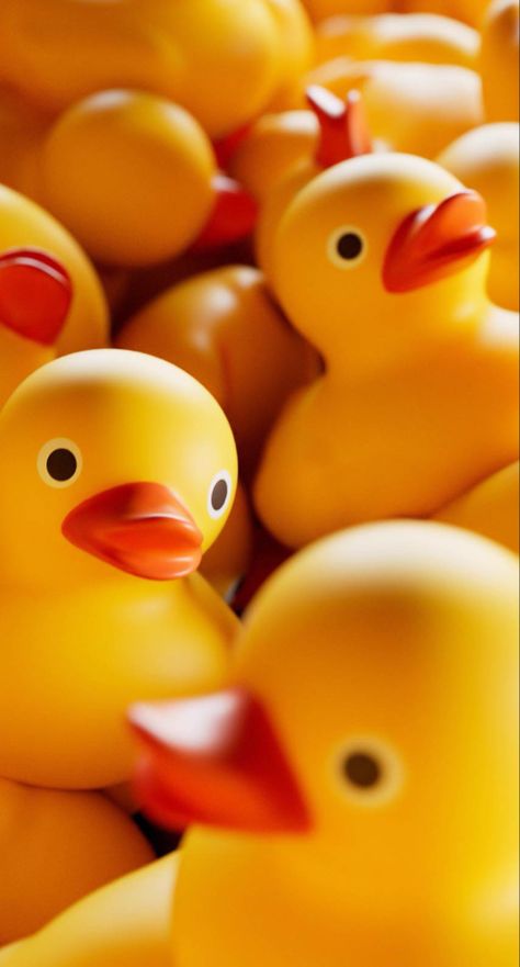 Rubber Ducks Aesthetic, Rubber Ducks Wallpaper, Rubber Duck Aesthetic, Rubber Ducky Wallpaper Iphone, Yellow Duck Wallpaper, Rubber Duck Art, Rubber Duck Photography, Ducky Duck, Duck Tattoos