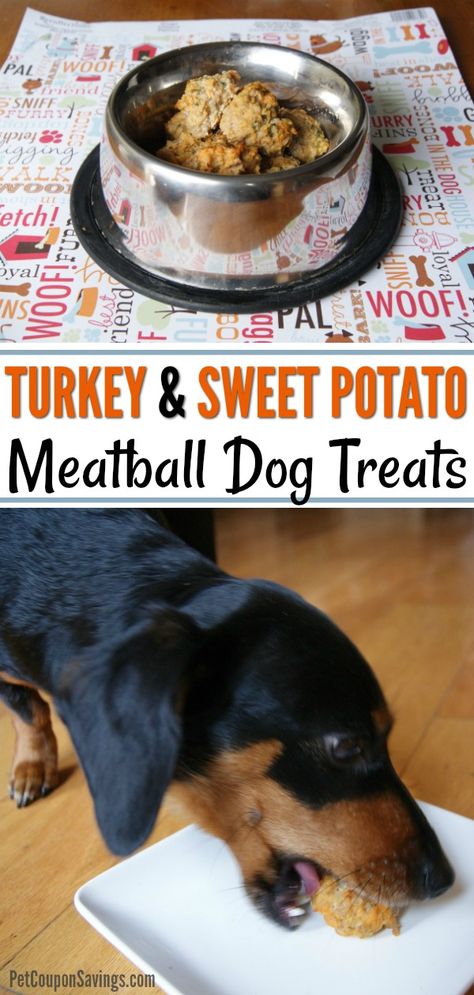 These Turkey and Sweet Potato Meatball Dog Treats are so easy to make and a great way to use up dinner leftovers. Your dog will gobble them up in no time! #meatballdogtreats #turkeymeatballdogtreats #sweetpotatomeatballs #meatballsfordogs Ground Turkey Dog Treats, Breakfast For Dogs Homemade, Homemade Dog Treats Grain Free, Thanksgiving Dog Treats, Turkey Dog Treats, Turkey And Sweet Potato, Animal Treats, Turkey Meatball, Dog Treats Homemade Easy