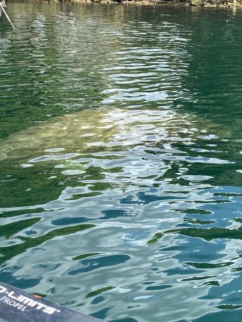 Rivercore Aesthetic, River Paintings, River Drawing, Water Png, River Aesthetic, Art For Walls, Water Photos, Aesthetic Water, Nature River