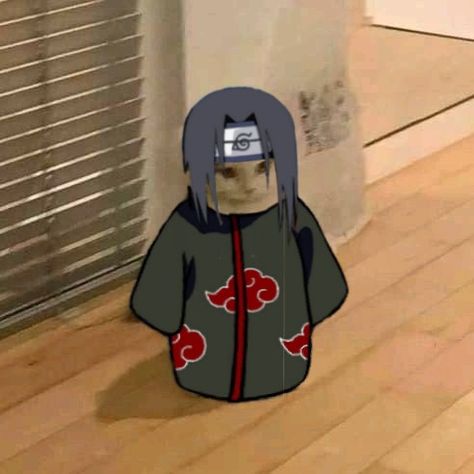 High Quality Itachi Pfp, Itachi Cat Pfp, Cat Itachi, Itachi Profile Pic, Itachi Uchiha Profile Pic, Kid Itachi Pfp, Cat Pfp, Cat Mask, Profile Pic