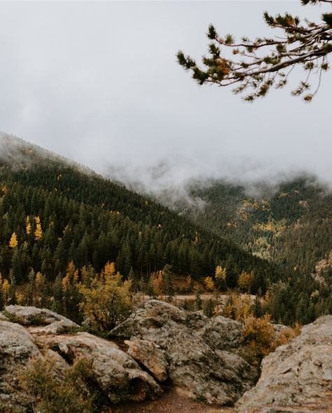 Still dreaming about this Colorado fall wedding and the most gorgeous Mountain Song Veil from @ruedeseinebridal I’m utterly obsessed with! . We have just a few more spots open for 2025! 2026 is gonna be a WILD year for weddings too! Reach out today and let’s start planning your magical day! ✨ . Venue: @northstargatherings Photo: @nicolehenshawphoto Planning: @atouchofbliss Catering: @greenspointcatering DJ: @dj.kaybay Veil: @ruedeseinebridal . . #coloradowedding #coloradomountainwedding... Colorado Fall Wedding, Colorado Fall, Copper Mountain, Mountain Wedding Colorado, Colorado Wedding, Mountain Wedding, Fall Wedding, Wedding Inspo, Veil