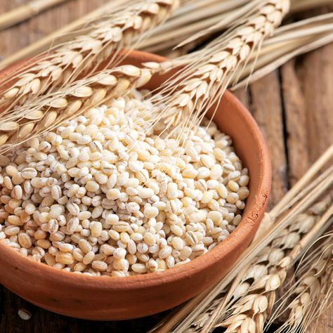 Barley Plant, Growing Grains, Baby Tattoo Ideas, Foods For Heart Health, Barley Seeds, Barley Grain, Homestead Style, Spent Grain, Types Of Cereal