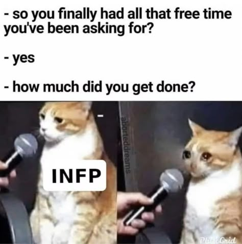 Infp Personality Traits, Infp Problems, Infp T Personality, Introverted Sensing, Infp Personality Type, Infj Mbti, Mbti Memes, Infp Personality, Mbti Relationships