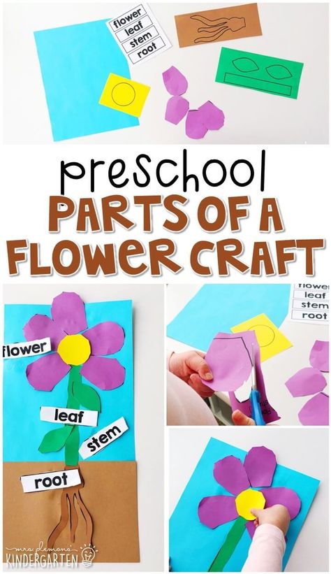 Plants Preschool, Preschool Plants, Letter G Activities, Spring Lesson Plans, April Preschool, Spring Preschool Activities, Spring Lessons, Preschool Garden, Preschool Spring