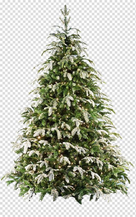 Christmas Tree Transparent Background, Christmas Tree White Background, Christmas Tree Graphic Design, Christmas White Background, Tree Render, Christmas Tree Aesthetic, Tree Psd, Big Christmas Tree, Glitter Png