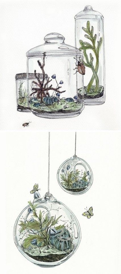 Mushroom Terrarium Drawing, Terrarium Ideas Drawing, Terrarium Sketch, Terrarium Drawing, Terrarium Tattoo, Terrarium Illustration, Terrarium Art, Terrarium Jar, Plant Sketches