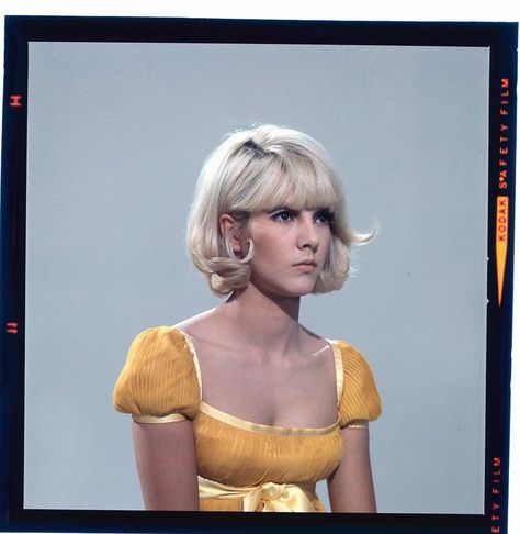 60s Bob, Vintage Bob Hairstyle, 1960s Hair, 60s Hair, Sylvie Vartan, Sixties Fashion, French Girls, Iconic Women, 60s Fashion