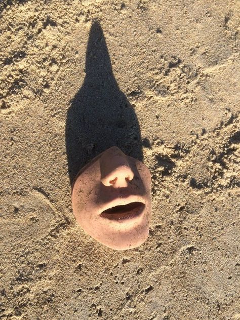 "One beach-combing outing I found a part of a face. My husband and I suspect it may have something to do with CPR training." Cpr Training, Beachy Hair, Sea Side, Unusual Things, Beach Combing, Cpr, Right Time, A Face, Great Places