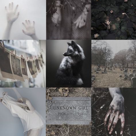 Goth Moodboard, Adopt Idea, Make Your Own Character, Monster Theme, Mood Board Inspiration, Mood Board Design, Aesthetic Images, Aesthetic Collage, Art Block