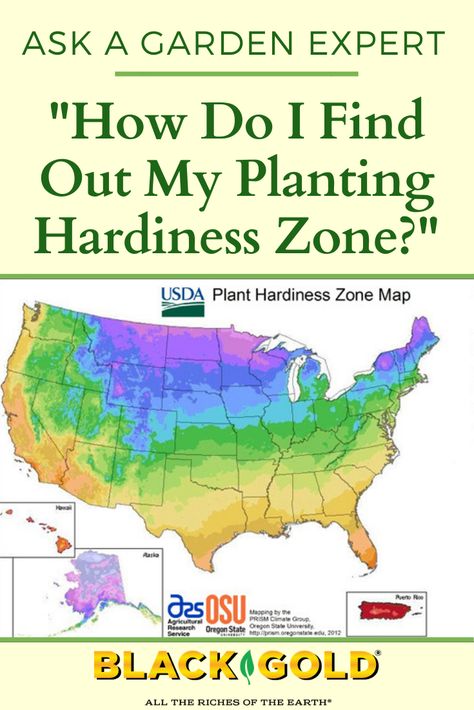 “How do I know what zone I am in for growing specific plants and trees?” Question from Kathy of West Rutland, Vermont #hardiness #planting #zone #map #identification Flower Zones Map U.s. States, Plant Zones Map United States, What Zone Am I In For Planting, Planting Zones Map, Garden Zones, Rutland Vermont, Front Yard Flowers, Yard Flowers, Plant Hardiness Zone Map