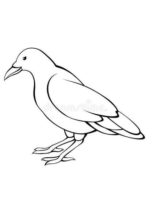 Crow Bird Drawing, Crow Pencil Drawing, Crow Drawing Easy, Crow Outline, Coloring Page Animals, Crow Pictures, Crows Drawing, Childrens Coloring Pages, Bird Outline