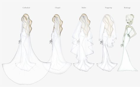 Types Of Veils, Png Download, Transparent Png, Png Image, Png Images, Veil, Style Guides, For Free, Share It