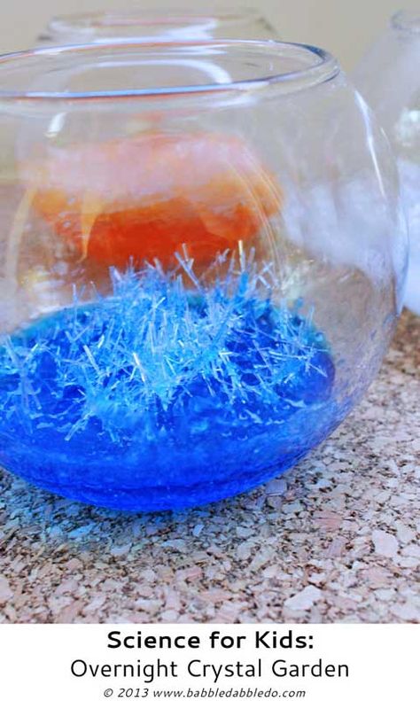 Overnight Crystal Garden Science Projects For Kindergarteners, Overnight Crystals, Grow Crystals, Crystal Gardens, Vetenskapliga Experiment, Science Experience, Growing Crystals, Kid Science, Summer Science