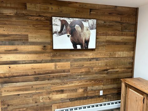 Our authentic reclaimed mixed brown barnwood wall and ceiling paneling is the perfect choice for those looking to create a warm and inviting atmosphere in their space. reclaimed from exterior siding, interior flooring and grain rooms of historic barns., this paneling features a combination of light and dark brown tones, varying textures, and grain patterns that result in a unique and eye-catching look.  Years of weather exposure create a product rich with character and patina. Circle saw kerf an Rustic Wood Accent Wall Living Room, Brown Shiplap Wall, Barnwood Paneling, Ceiling Paneling, Wood Wall Planks, Panels For Walls, Interior Flooring, Barn Wood Wall, Reclaimed Wood Accent Wall