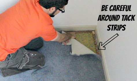 Ripping Up Carpet, Carpet Glue, Basement Carpet, How To Remove Glue, Removing Carpet, Cleaning Painted Walls, Old Carpet, Brown Carpet, Deep Cleaning Tips