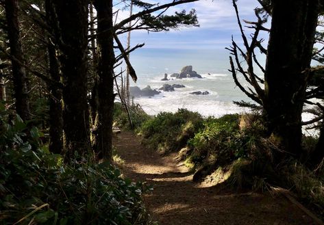 Oregon State Parks, Ecola State Park, Cannon Beach, Hiking Trail, Oregon Coast, Nature Aesthetic, Akita, Stunning View, Pacific Northwest