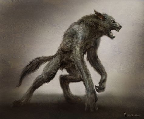 The Mysterious Beast of Boulter's Lock Rpg Wallpaper, Werewolf Drawing, American Werewolf In London, Werewolf Art, Vampires And Werewolves, Chronicles Of Narnia, The Elder Scrolls, Mythological Creatures, Elder Scrolls