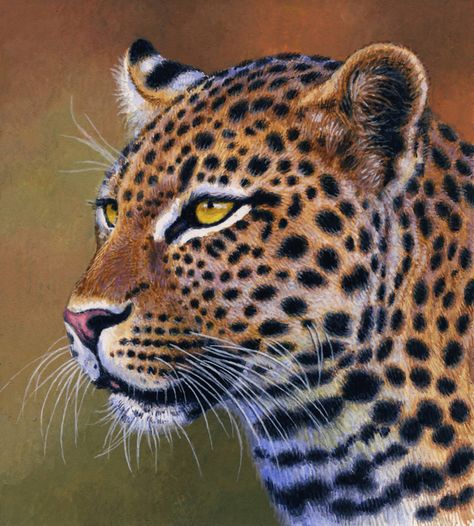 Leopard Portrait, Painting Exhibition, Animal Artwork, Colorful Portrait, Great Paintings, Game Reserve, Animals Artwork, Leopards, Small Paintings