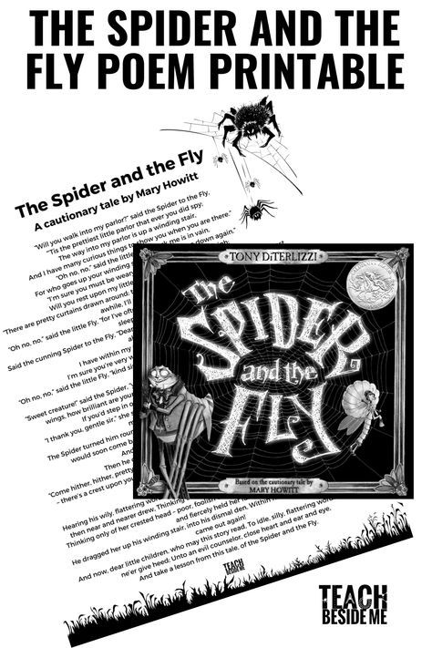 The Spider And The Fly, Spider Lessons, Spider Facts, Spider And The Fly, Spider Fact, False Friendship, Resurrection Eggs, The Easter Story, Fraction Games