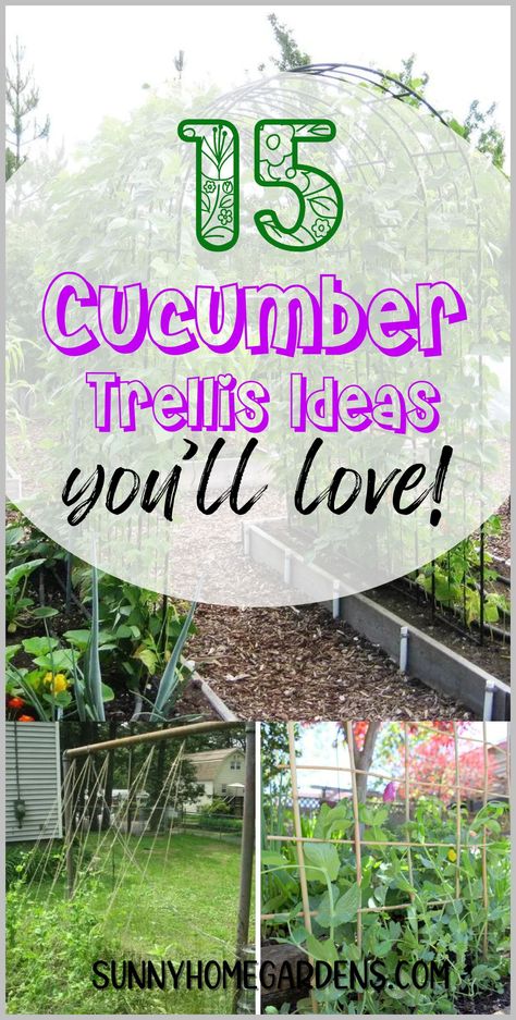 Learn the steps to create a homemade trellis, giving your cucumber vines the perfect structure to climb in your garden. Cucumber Trellis Ideas, Homemade Trellis, Trellis Ideas Garden, Outdoor Trellis Ideas, Growing Cucumbers Vertically, Cucumber Trellis Diy, Teepee Trellis, Bean Trellis, Vegetable Trellis