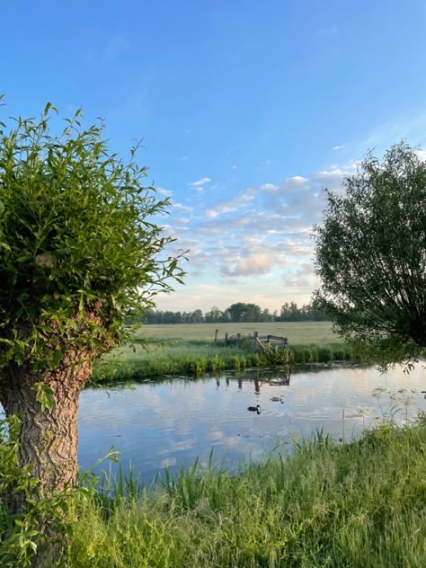 dutch canal just after sunrise. countryside summer mornings Sunrise Countryside, Early Summer Morning, June Journal, Dutch Countryside, Summer Morning, Summer 3, Summer Landscape, Gap Year, Western Europe