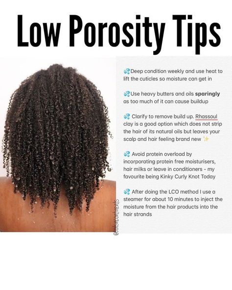 Low Porosity Hair Care, Black Hair Products, Low Porosity Natural Hair, 4c Hair Care, Low Porosity Hair, Natural Hair Growth Tips, Natural Hair Regimen, Low Porosity, Hair Milk