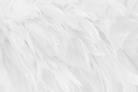 White grey feather wing pattern texture ... | Premium Photo #Freepik #photo #rooster #bird-feather #feather-background #feather Feather Background, Wing Pattern, Feather Texture, Feather Wings, White Feathers, Pattern Texture, Vector Photo, Premium Photo, Textures Patterns