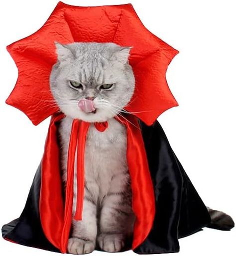 Funny Pet Costumes, Halloween Capes, Vampire Cat, Puppy Costume, Cat Cosplay, Spooky Costumes, Chat Halloween, Puppy Dress, Pet Halloween Costumes