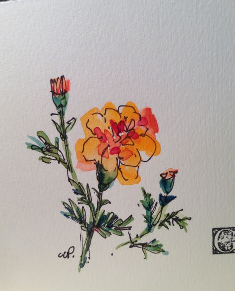 hand-painted cards gardenblooms.etsy.com Marigold Watercolor, Marigold Tattoo, Garden Watercolor, Watercolor Card, Arte Inspo, Watercolor Cards, Pics Art, Flower Cards, Watercolor And Ink