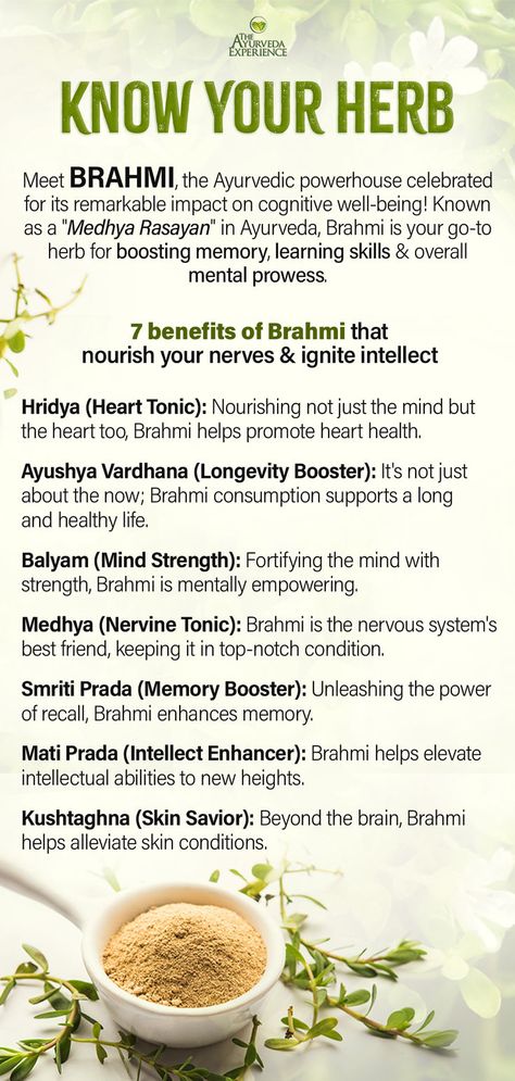 best food to enhance memory and brain tonic Brahmi Benefits, Medicinal Botany, Brain Healing, Plants Benefits, The Ayurveda Experience, Witch Apothecary, Ayurvedic Plants, Medicine Herbs, Master Your Mind