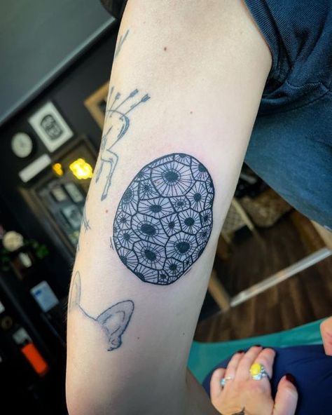 Petoskey Tattoo, Petoskey Stone Tattoo, Penny Tattoo, Petosky Stone, Stone Tattoo, Rock Tattoo, Petoskey Stone, Smart Things, Creative Expressions