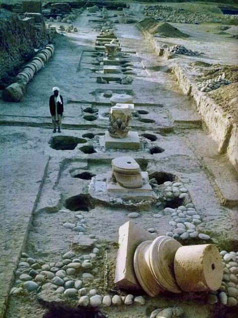 Gandhara Civilization, Greece Cities, Ancient Egyptian Temple, Ancient Alexandria, History India, Alexandria City, Ancient Greek City, Earth History, Egyptian Temple