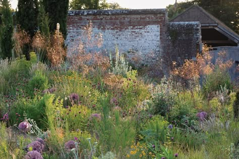 Knepp Castle: The rewilded Walled Garden Flat Garden Ideas, Native Cottage Garden, African Garden, Garden Mood Board, Mediterranean Gardens, Planting Schemes, Landscape Garden Design, Planting Combinations, Yard Maintenance