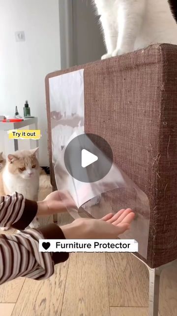 Nio Pets on Instagram: "🛋️✨ Say goodbye to scratched sofas! Introducing our Sofa Protector Film – the ultimate defense against cat claws. 🐾🚫 Keep your furniture looking brand new while giving your feline friend a scratch-approved zone. 🐱💖 Protect and pamper your sofa – because your home deserves to stay stylish and scratch-free! 🏡✨ Share your pet-friendly space using #SofaProtectorChic. Upgrade your furniture game today! 🛍️ [Link is on bio] #CatProofYourSofa #FurnitureProtection #StylishHome" Cat Friendly Sofa, Sofa Protector, Cat Claws, Furniture Protectors, Say Goodbye, Gold Wedding, Defense, Pet Friendly, Feline